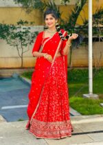Dola Silk Lehenga – Lustrous Festive Ethnic Skirt Set